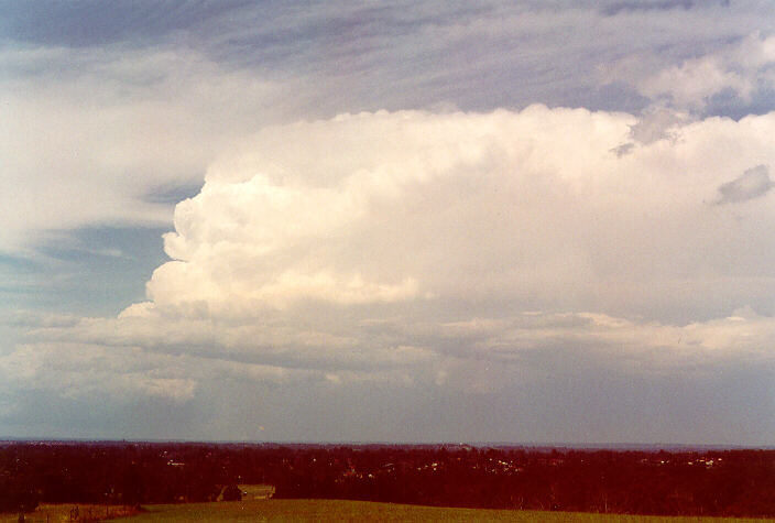 favourites michael_bath : Rooty Hill, NSW   5 February 1996