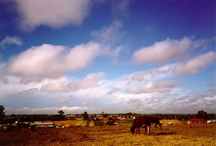 stratus stratus_cloud : Schofields, NSW   12 April 1996