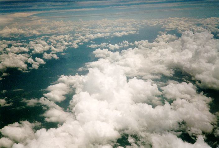 cumulus mediocris :    31 July 1996