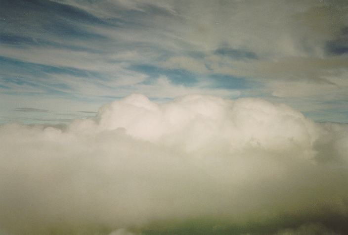 cirrus cirrus_cloud :    31 July 1996