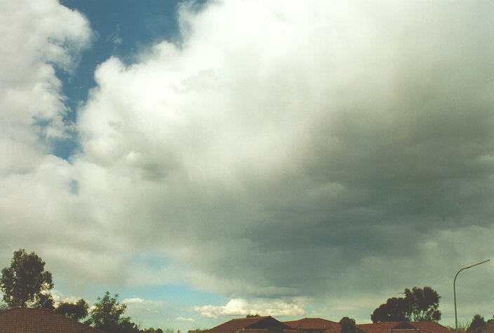 virga virga_pictures : Oakhurst, NSW   18 August 1996