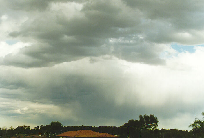 cumulus mediocris : Oakhurst, NSW   18 August 1996