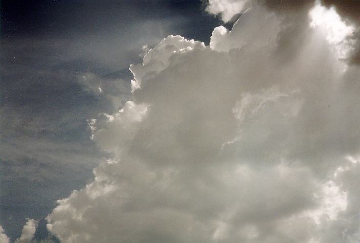 cumulus congestus : Malta   22 August 1996