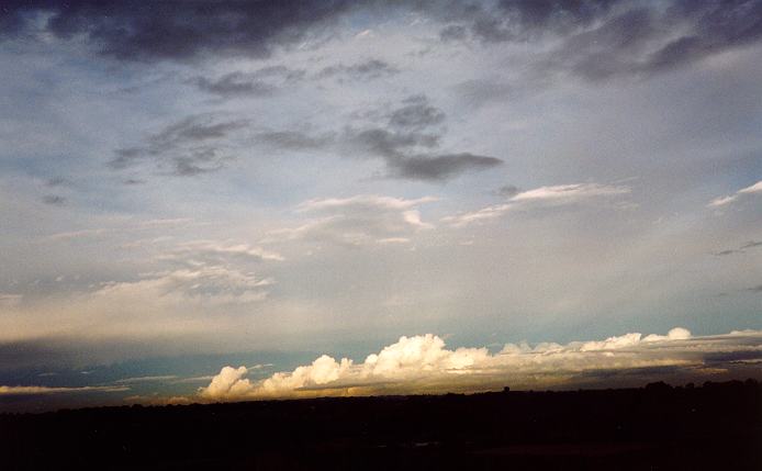 cumulus congestus : chofields, NSW   20 September 1996