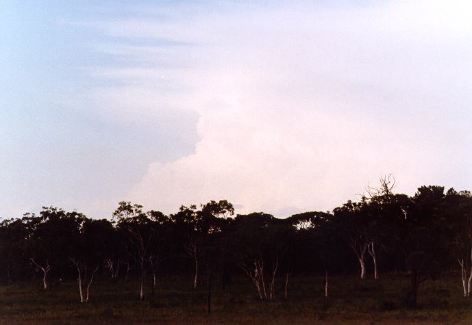 cumulonimbus supercell_thunderstorm : Wyee, NSW   29 September 1996