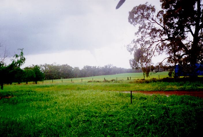 contributions received : Bearbung, NSW<BR>Photo by Chris Cooke   29 September 1996