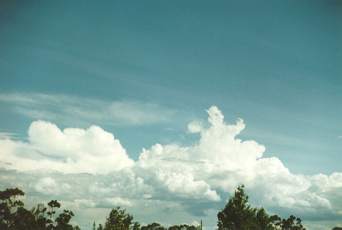 cumulus congestus : Blackheath, NSW   3 November 1996
