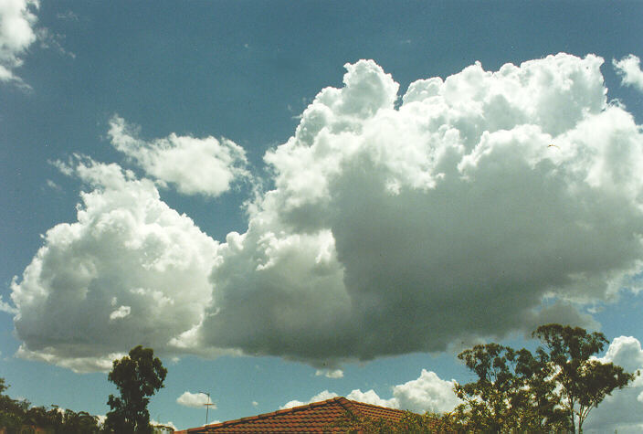 cumulus mediocris : Oakhurst, NSW   9 November 1996
