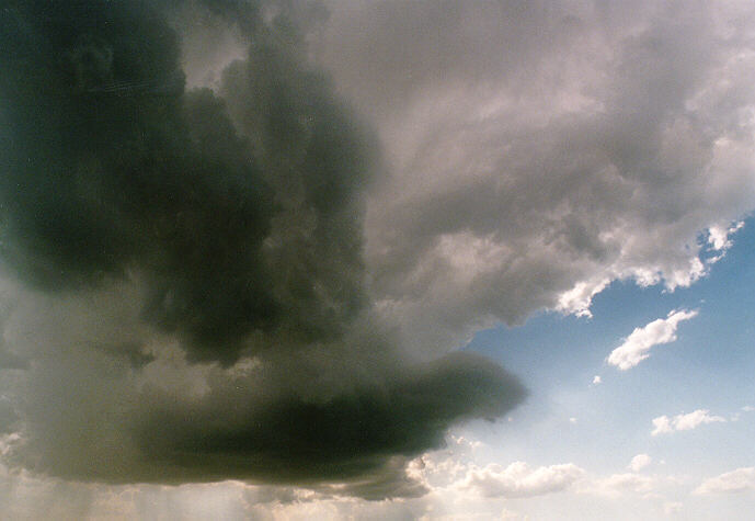 cumulonimbus thunderstorm_base : Freemans Reach, NSW   4 December 1996