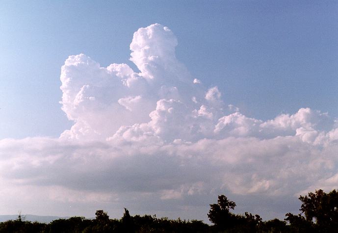 stratocumulus stratocumulus_cloud : Freemans Reach, NSW   4 December 1996