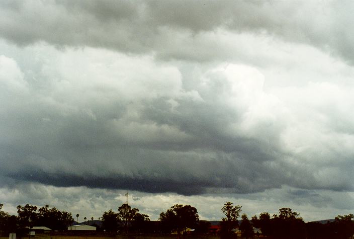 cumulus mediocris : Richmond, NSW   7 December 1996