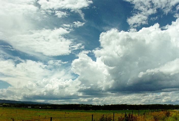 cumulus congestus : Richmond, NSW   7 December 1996