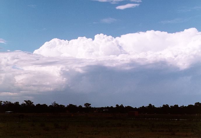 thunderstorm cumulonimbus_calvus : Richmond, NSW   28 December 1996