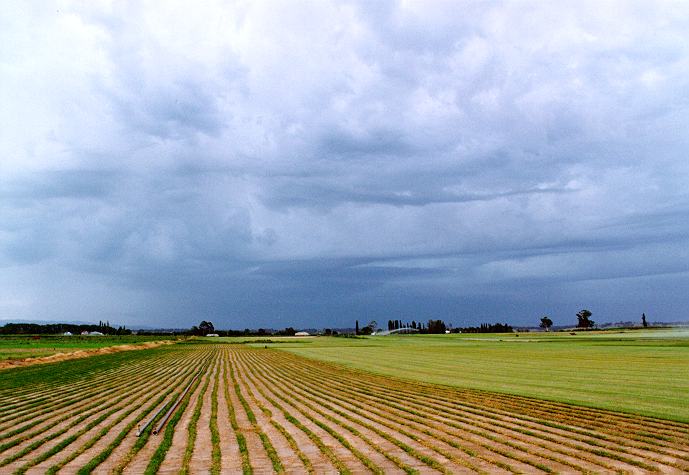 cumulonimbus thunderstorm_base : Windsor, NSW   28 December 1996