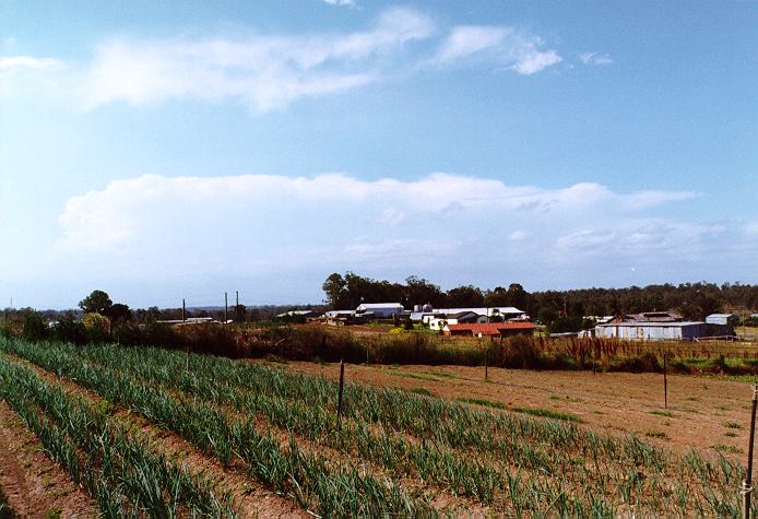 cirrus cirrus_cloud : Schofields, NSW   29 December 1996