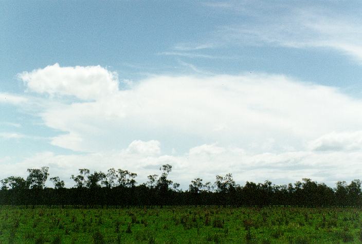 thunderstorm cumulonimbus_incus : Ballina, NSW   29 December 1996