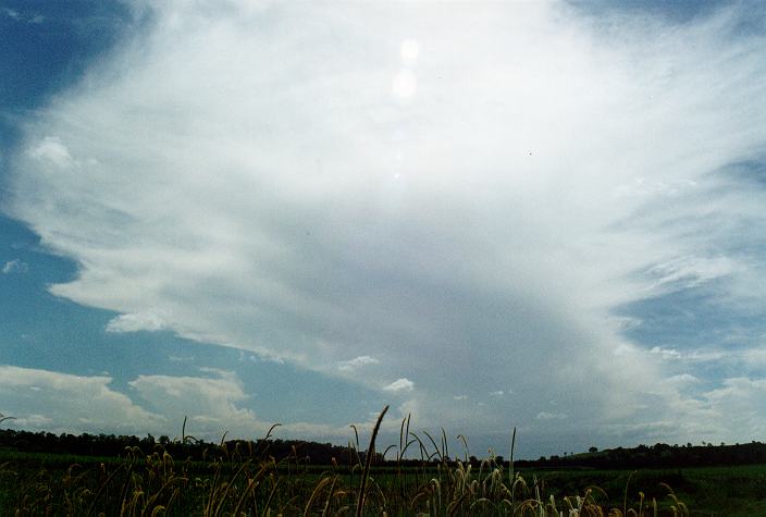 anvil thunderstorm_anvils : Parrots Nest, NSW   29 December 1996