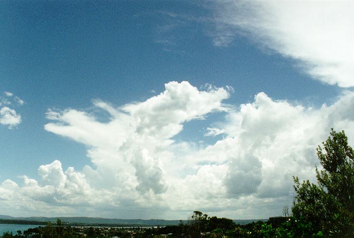 cumulus congestus : Ballina, NSW   31 December 1996