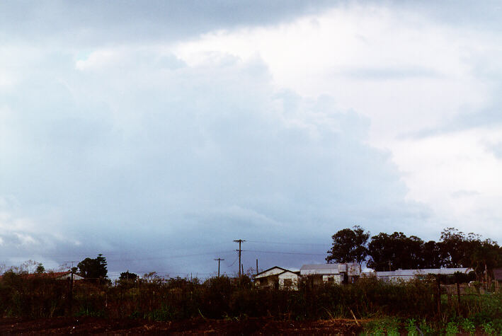 thunderstorm cumulonimbus_calvus : Schofields, NSW   26 January 1997