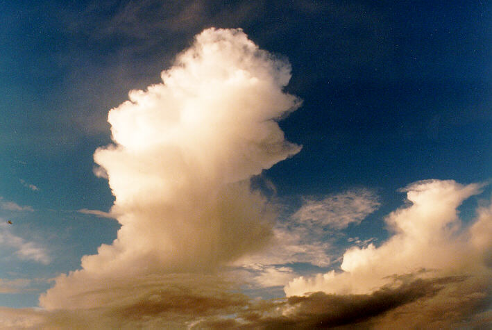 cirrus cirrus_cloud : Schofields, NSW   26 January 1997