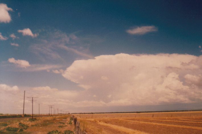 contributions received : Murtoa, VIC<BR>Photo by Paul Yole   27 January 1997