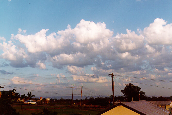 cumulus mediocris : Schofields, NSW   9 February 1997