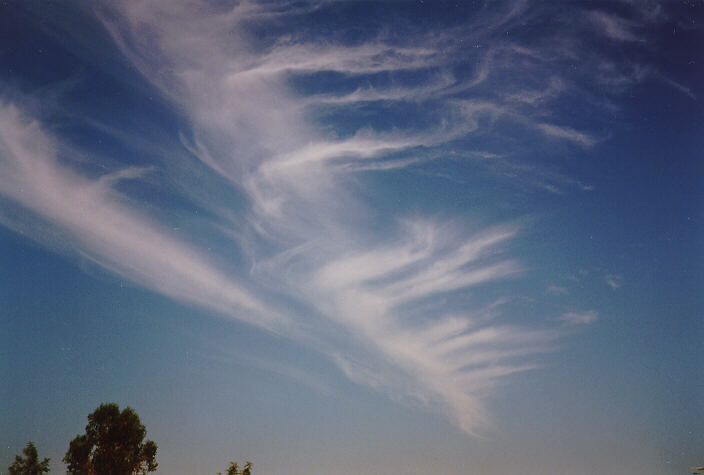 cirrus cirrus_cloud : Oakhurst, NSW   22 February 1997
