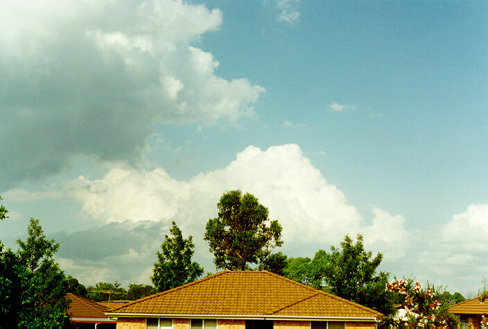 cumulus mediocris : Oakhurst, NSW   16 March 1997