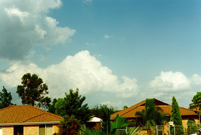 cumulus mediocris : Oakhurst, NSW   16 March 1997
