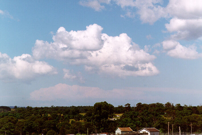 cumulus mediocris : Schofields, NSW   23 March 1997