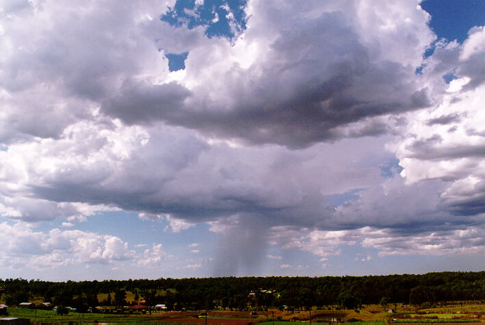 thunderstorm cumulonimbus_calvus : Schofields, NSW   28 March 1997