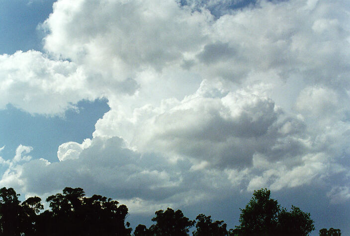 cumulus mediocris : Oakhurst, NSW   30 March 1997