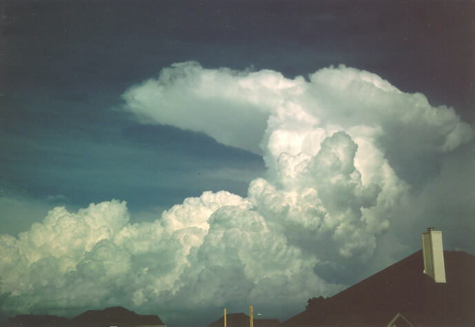 cumulus congestus : photo by Ted Best   1 June 1997