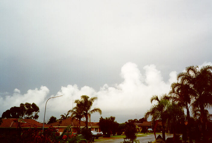 cumulus mediocris : Oakhurst, NSW   27 June 1997