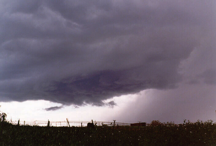 cumulonimbus thunderstorm_base : Schofields, NSW   20 September 1997
