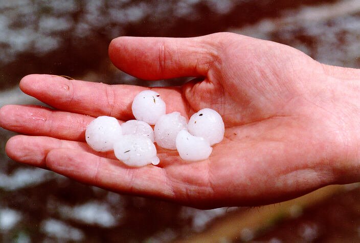 hailstones hail_stones : Schofields, NSW   20 September 1997