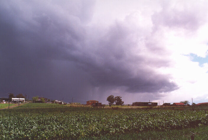 cumulonimbus thunderstorm_base : Schofields, NSW   20 September 1997