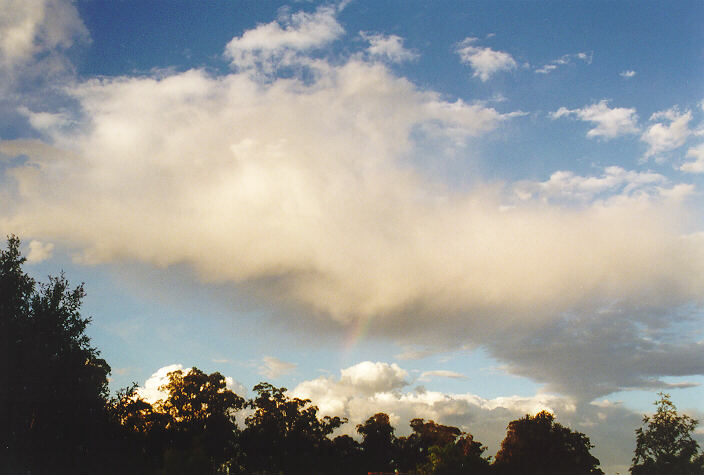 cumulus mediocris : Oakhurst, NSW   26 September 1997