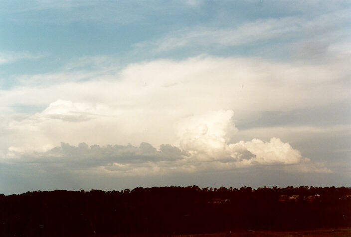 cumulus mediocris : Schofields, NSW   2 October 1997