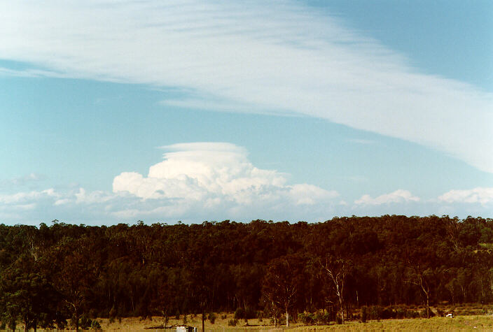 cirrus cirrus_cloud : Schofields, NSW   3 October 1997