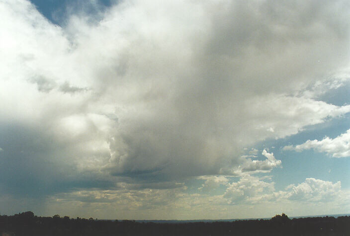 cumulus congestus : Rooty Hill, NSW   27 October 1997
