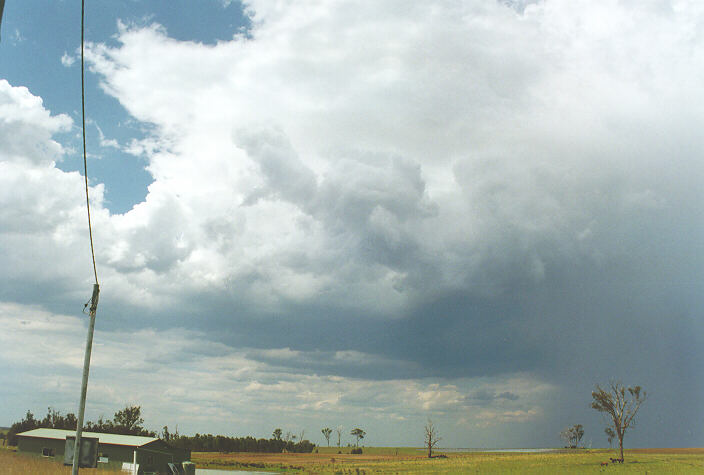 raincascade precipitation_cascade : Luddenham, NSW   7 November 1997
