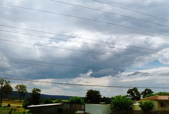 cumulus mediocris : Luddenham, NSW   7 November 1997