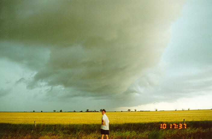 contributions received : Murtoa, VIC<BR>Photo by Paul Yole   10 November 1997