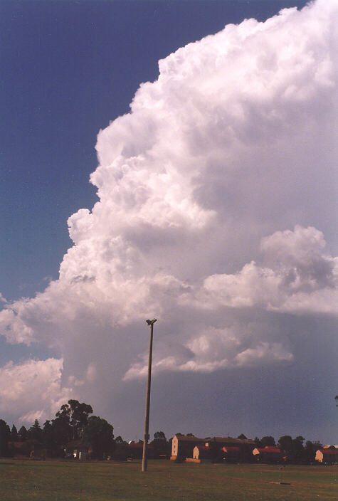 thunderstorm cumulonimbus_incus : St Marys, NSW   12 November 1997