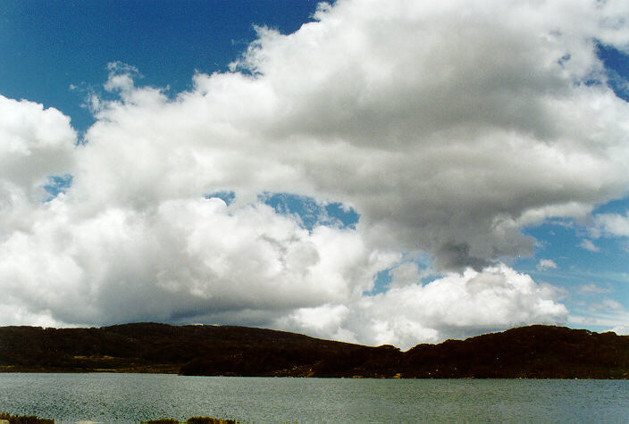 cumulus mediocris : Falls Creek, VIC   12 November 1997