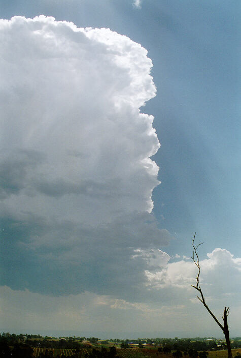 thunderstorm cumulonimbus_calvus : Horsley Park, NSW   26 November 1997