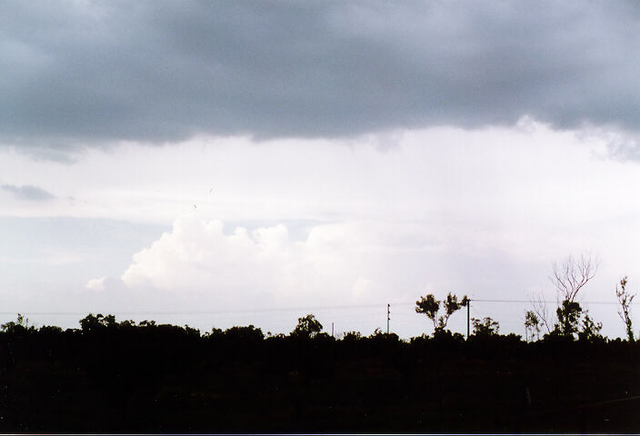 cumulus congestus : Howard Springs, NT   30 November 1997