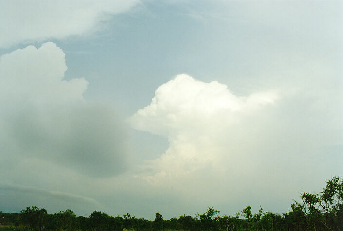 thunderstorm cumulonimbus_incus : Litchfield Park, NT   1 December 1997