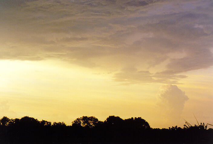 altocumulus altocumulus_cloud : Fogg Dam, NT   2 December 1997